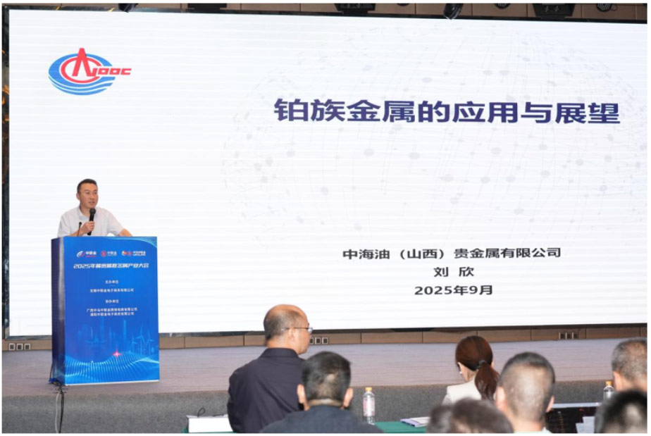 Applications and Development Prospects of Platinum Group Metals