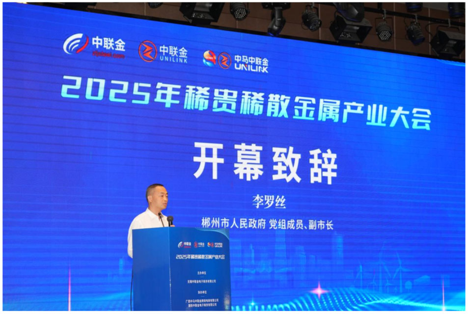 Mr. Li Luosi, Member of the Party Leadership Group of the Chenzhou Municipal People’s Government and Vice Mayor of Chenzhou.