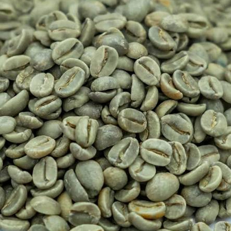 Robusta Green Coffee Beans