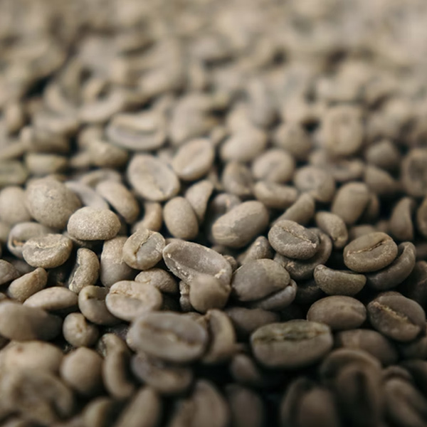 Arabica Green Coffee Beans