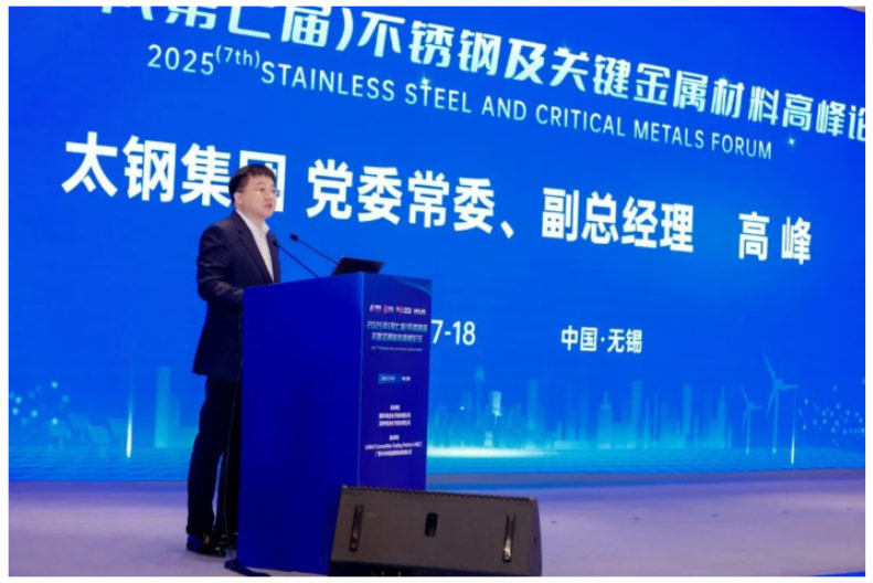Mr. Gao Feng, Member of the Party Standing Committee and Deputy General Manager of Taiyuan Iron & Steel (Group) Co., Ltd.